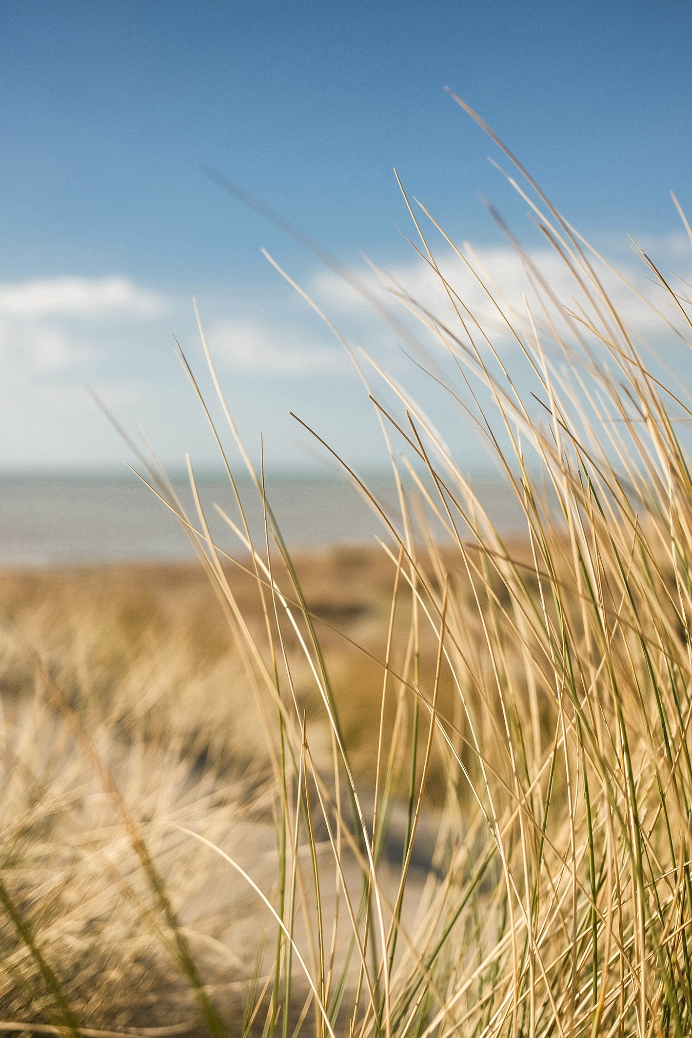 Hol dir das Strandgefühl nach Hause: Einrichten & Dekorieren wie im Nordsee-Urlaub