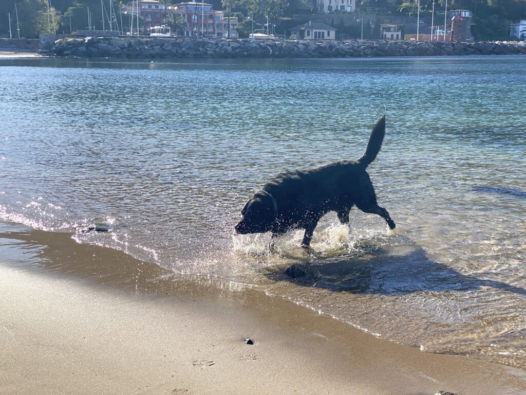 18 Monate nach der Krebsdiagnose